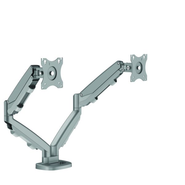 9683301_Eppa_Dual_Silver_R